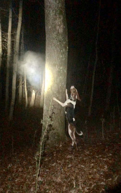 B85E331B-AD1F-45B2-9DF3-F49E87353186