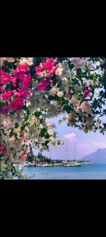 ٢٠٢١٠٦١٧_٠٢١٠٣٩