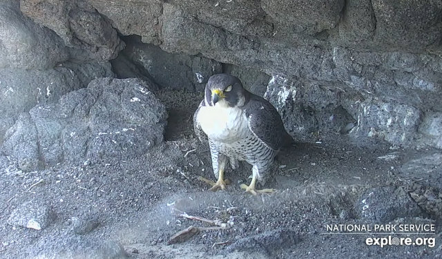 Anacapa Island Przechwytywanie-w-trybie-pe-noekranowym-11-03-2022-231804