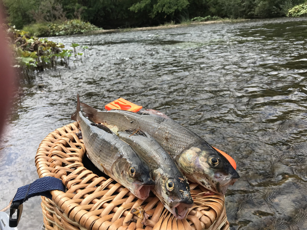 07D5CCC3-BDBA-4EC8-B664-A57243E74CFE