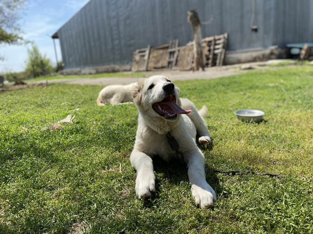 371DF18E-2FAF-4740-AE86-4BFA3F7F3F6B