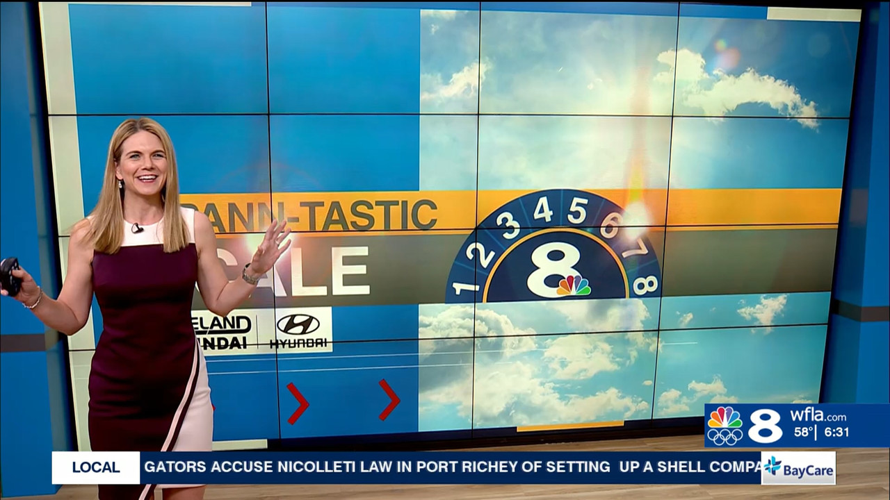 NewsChannel 8 Today at 6a_20240227_11001200.ts_snapshot_18.29.838