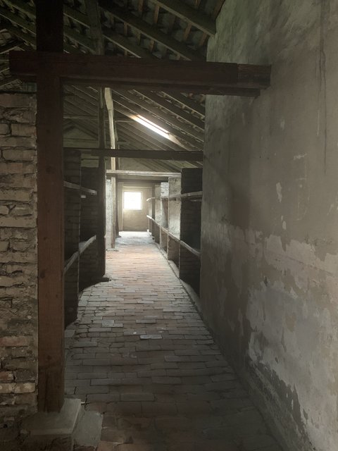 Cracovia (Kraków) y Auschwitz - Polonia en verano de 2024 (10)