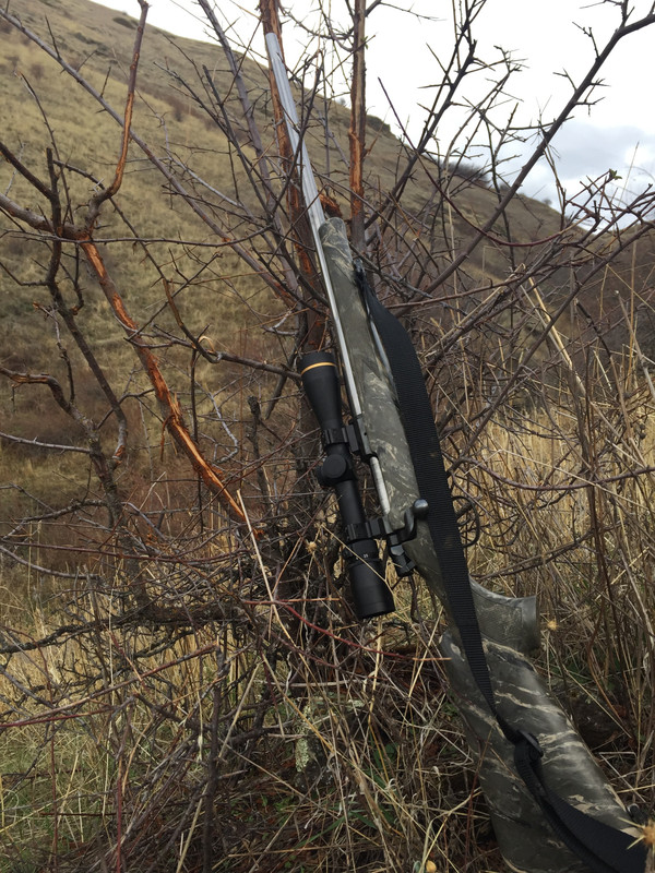 61AD4A42-0F7E-45B2-8B05-B0F450177757