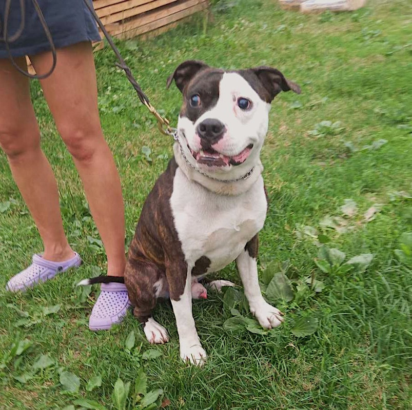 3D09B46C-176A-43C0-9B8E-586A513815F5