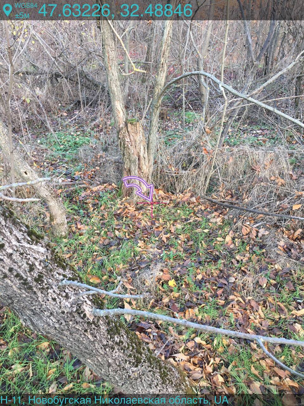 photo 60 2025 11 15 20 14 55