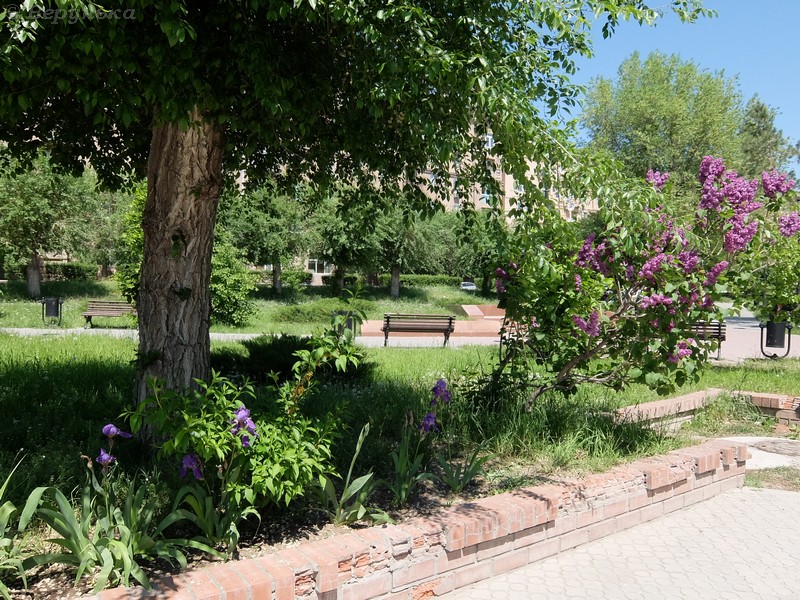 DSCF6238
