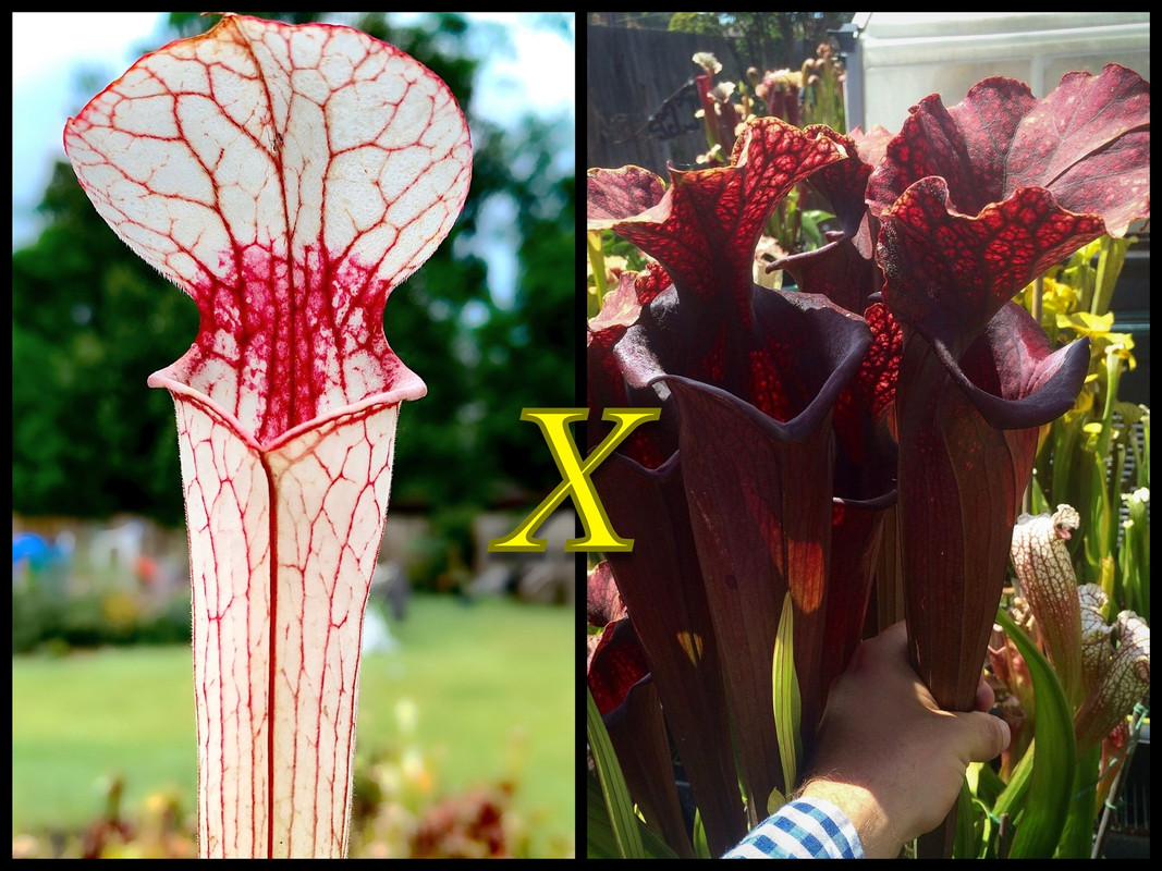 A626F627-98D7-4258-AED3-EB5AB445D8F2