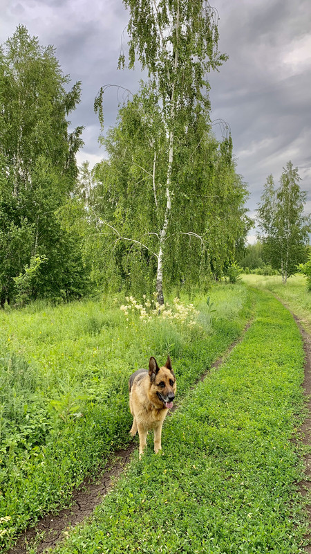 7E3AE4EF-56FA-4818-AF46-E529D0EE4225