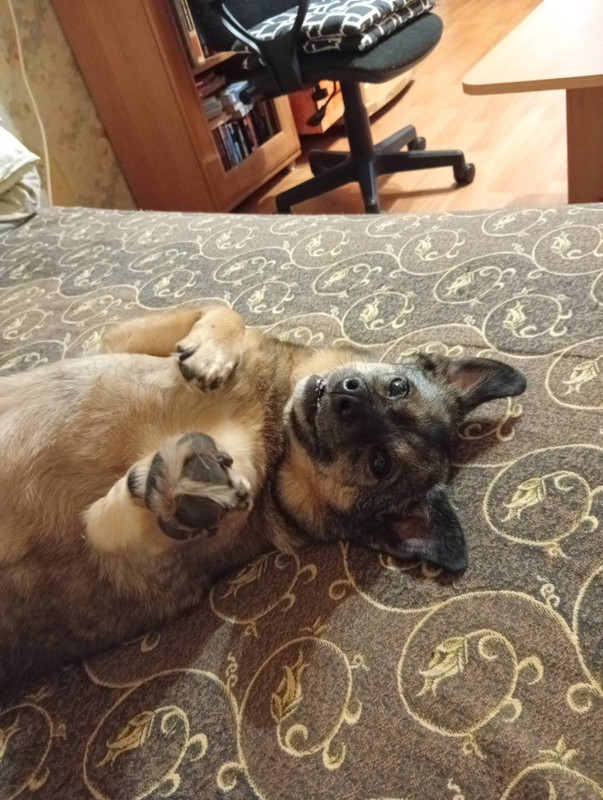 IMG 8a5206959600c47839b942146957aa1e V