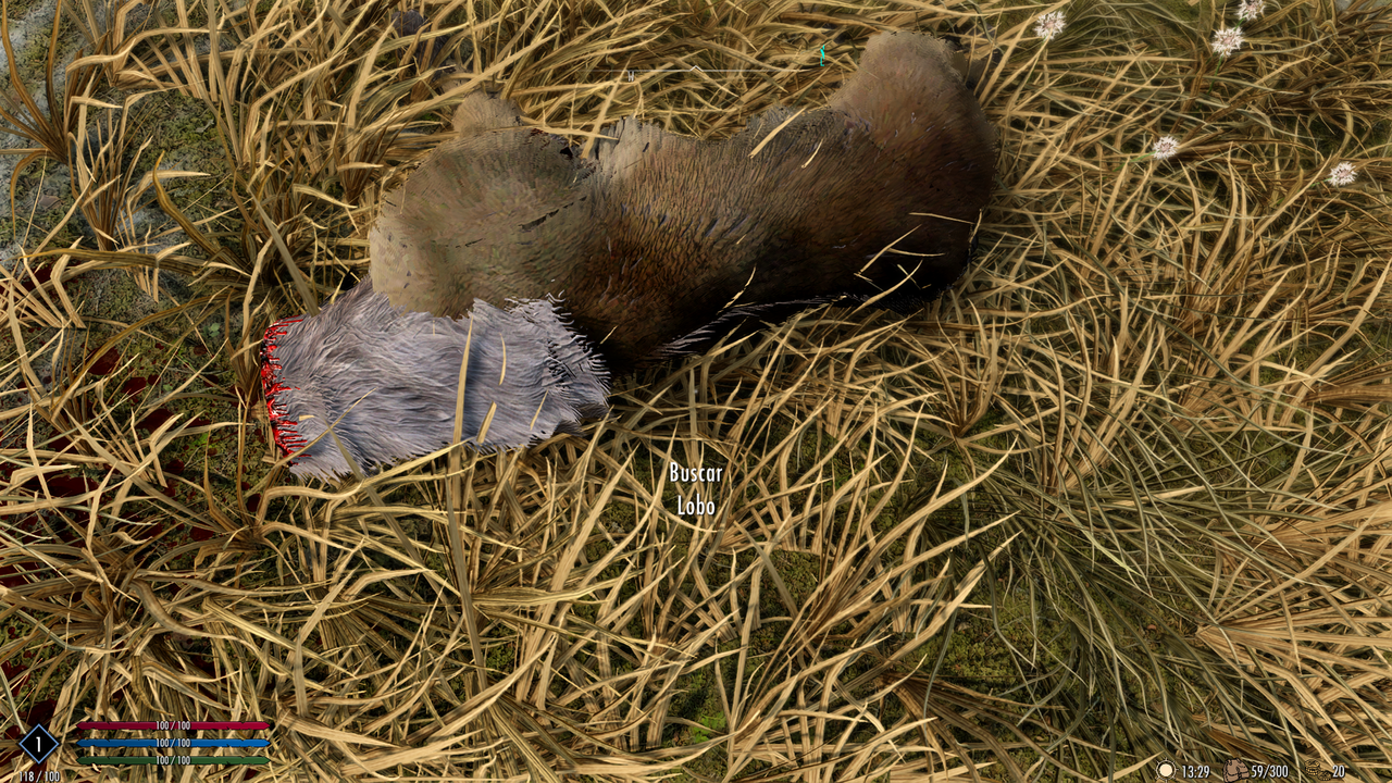 The Elder Scrolls V Skyrim Special Edition Screenshot 2026 02 13 13 53 55 10