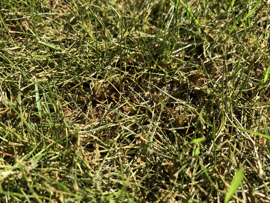 5A951053-86B2-4850-9D9A-23CA2EFD2786