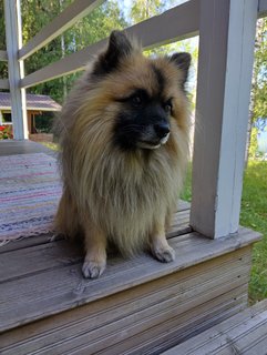 IMG_20250720_171719_HDR