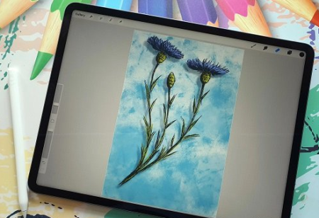 Sketching and Doodling Fun with Cornflowers in Procreate