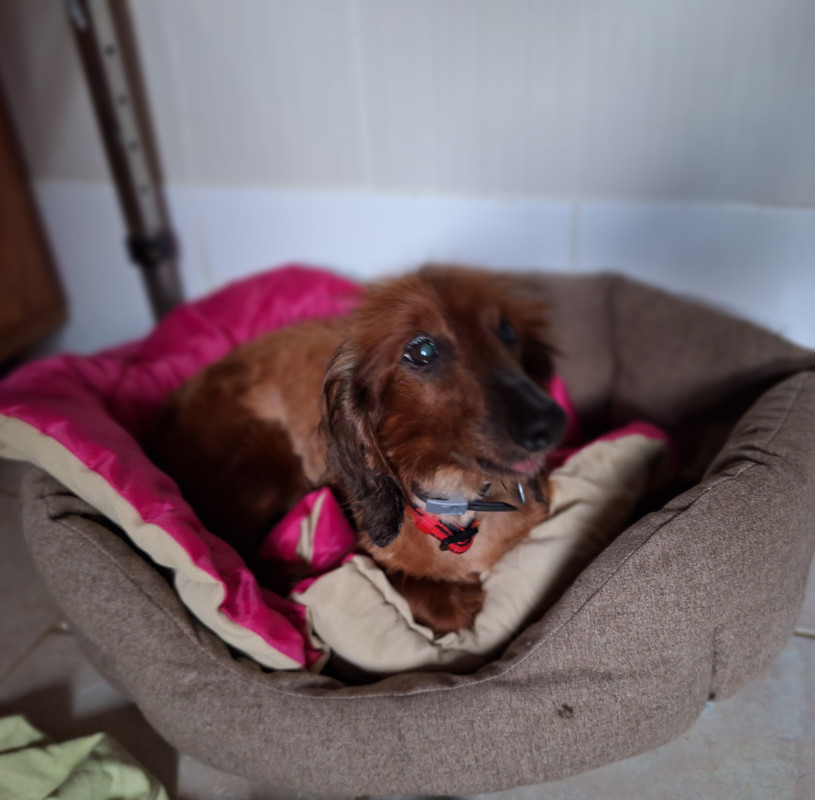 [Image: 20240326-182218.jpg]