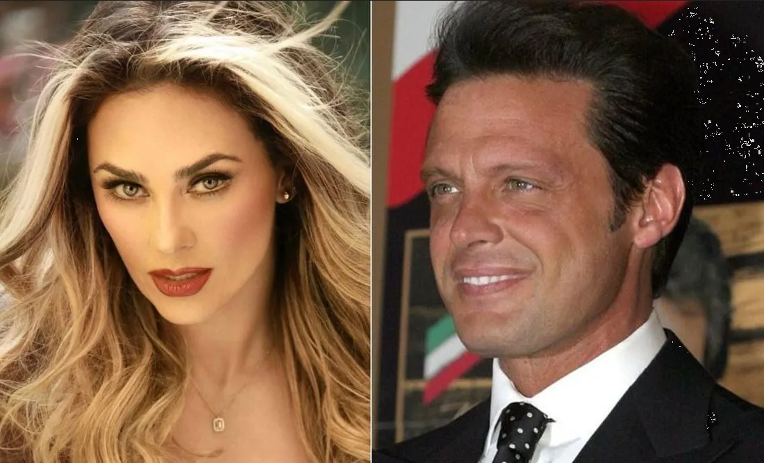 Aracely Arámbula ganará millonaria cifra por la gira de Luis Miguel
