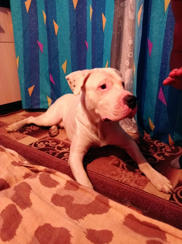 A9E54FBA-A208-44C5-B9F9-7333CD2B97D1