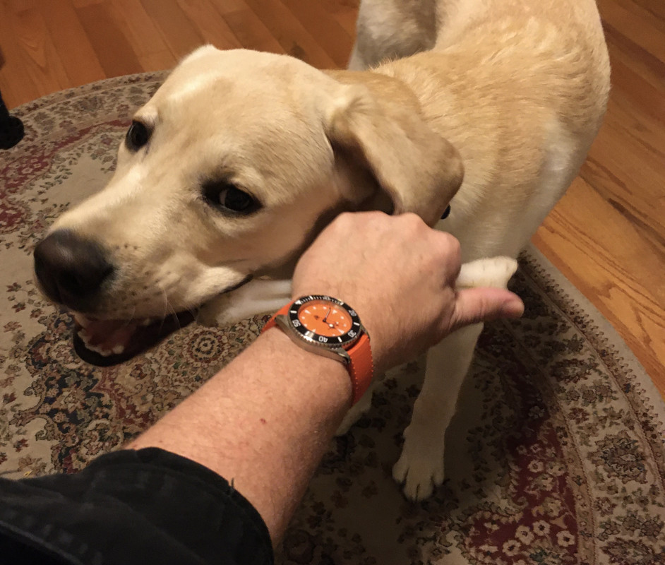 8596147F-C07B-4051-BFC5-65F1B4B38BE6