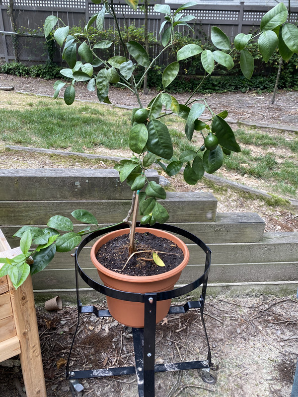 CF37CE9B-C47F-4BAD-87FA-C7AAC32F883D