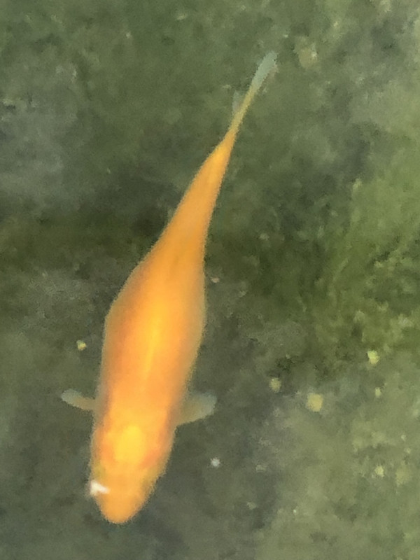 F3603959-70BE-4926-9187-A28C27F6A03D