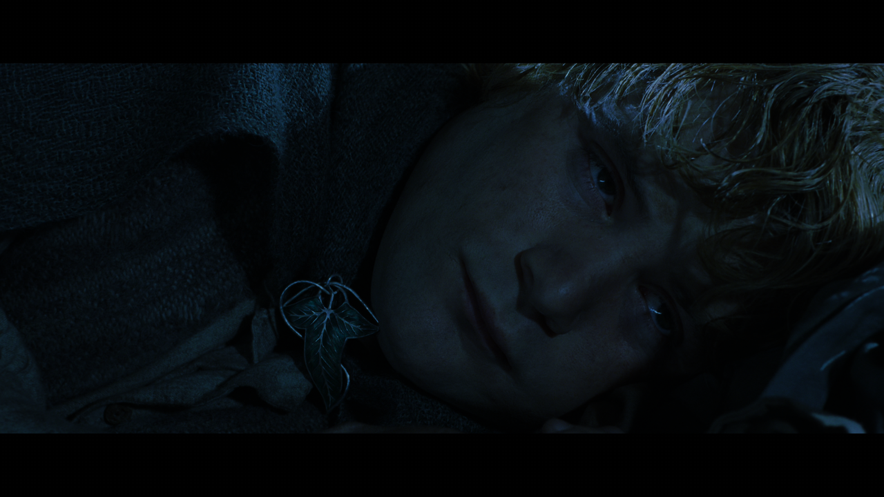 The Lord of the Rings- The Return of the King (EXT.) PT. 1.mkv_snapshot_00.25.16_[2020.12.15_18.35.5