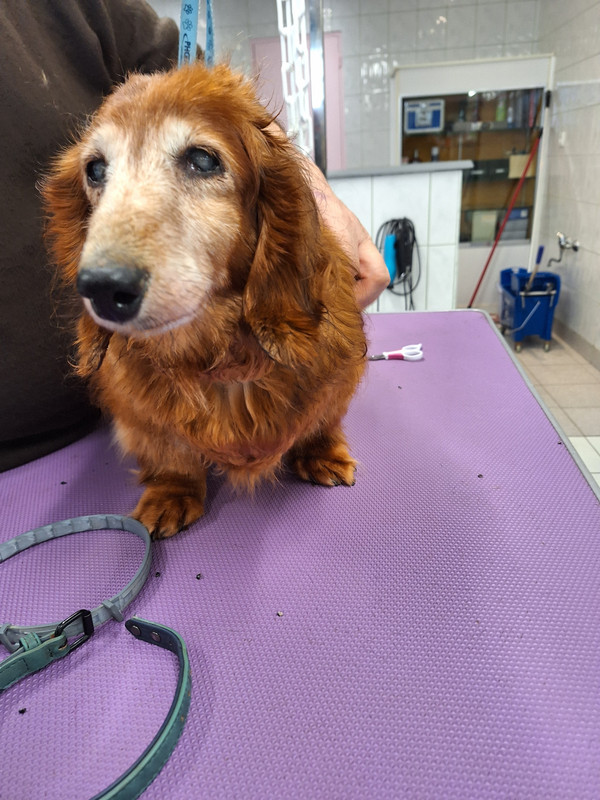 [Image: 20240208-144535.jpg]