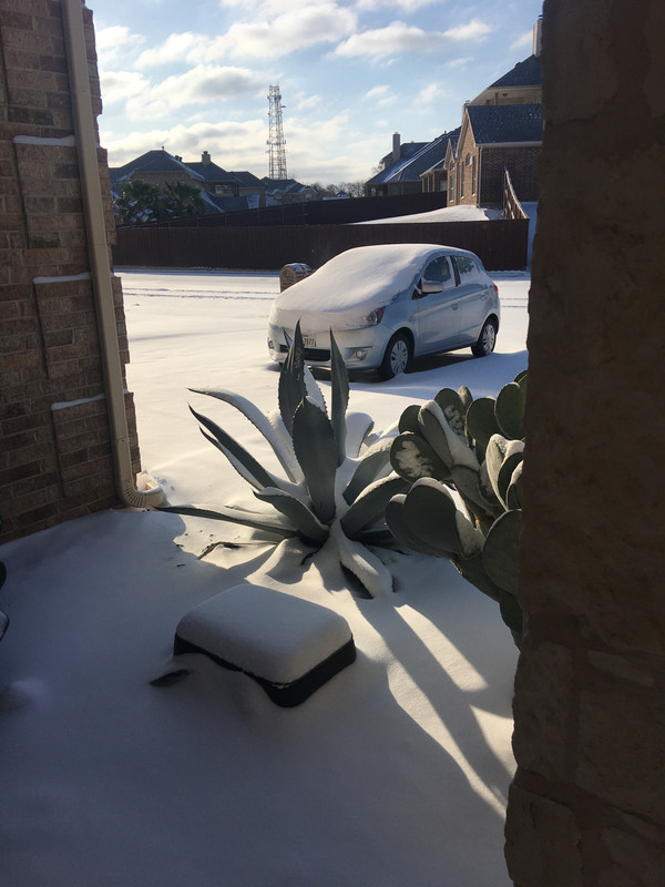 B7BC4C18-47A9-4B9D-A21D-8E9C5E76AB54