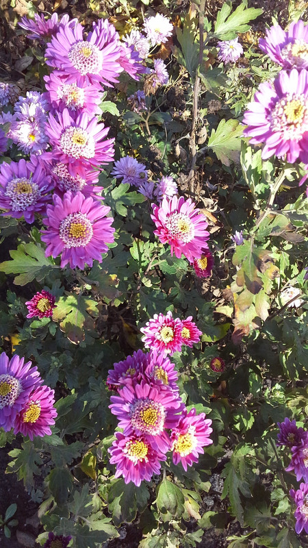 20181101_133442