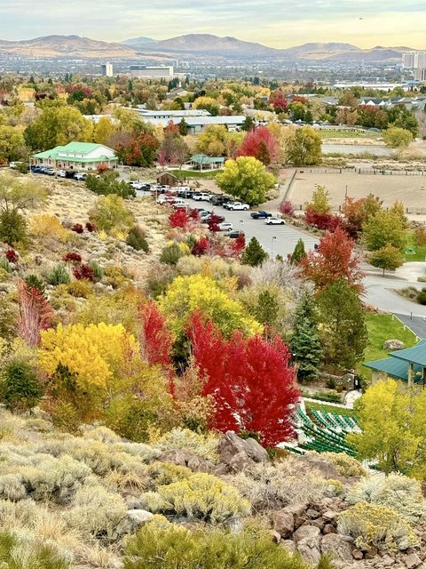 [Image: IMG-7773.jpg]