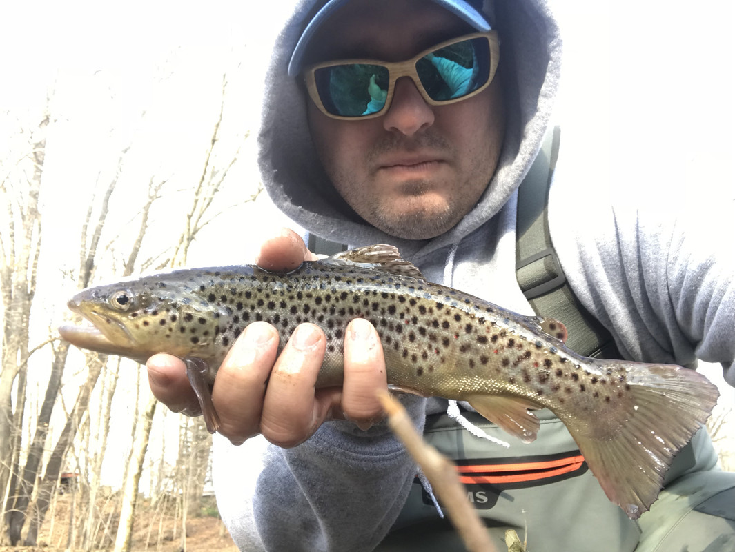 4CCCF517-D6CC-4C06-A139-2BDBB87A74E1