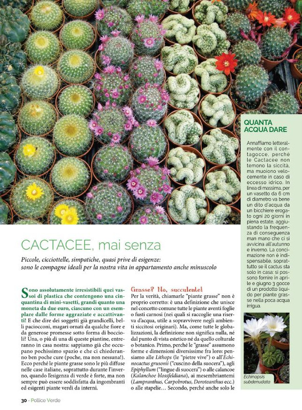 Pol Ver Set 2022 (5)