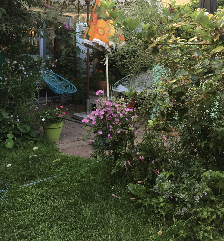 3DF217E3-CC1D-459F-90CE-9F821D477A0E