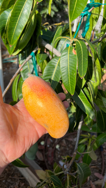 B242CEF3-01B7-4B71-8B2B-AD5F047F7FF8