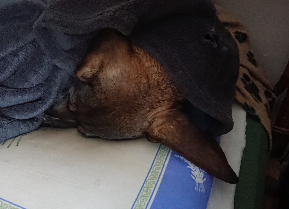 [Image: 20221014-092957.jpg]