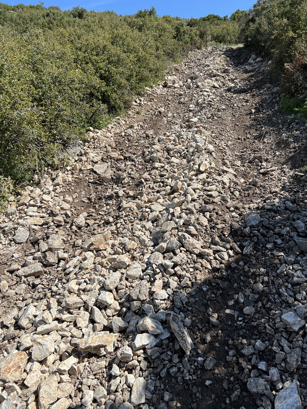 775200F9-BA68-4536-9244-2A22324C1655