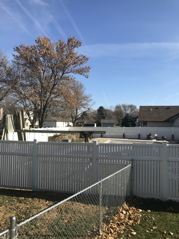 0119DD1E-613A-49F9-8149-1825B0B857B1