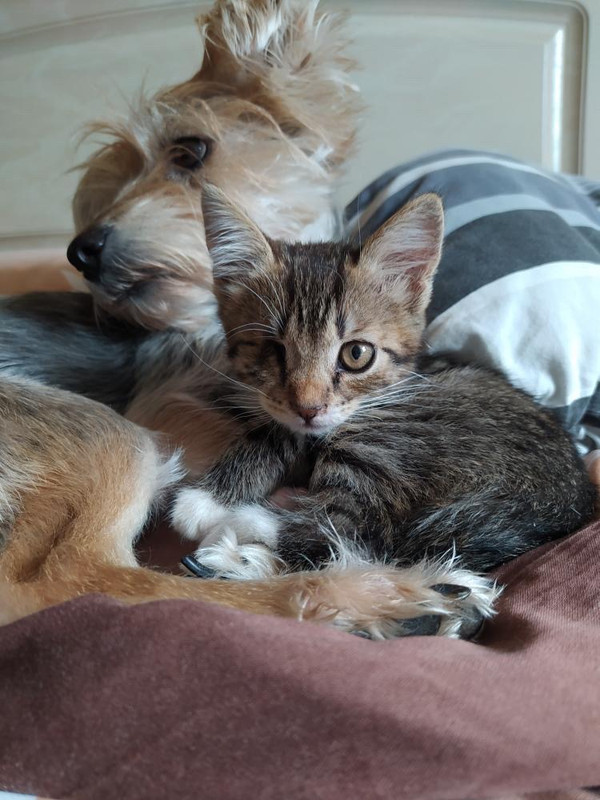 E390FD64-0387-4A3D-A573-2F07EAA42554