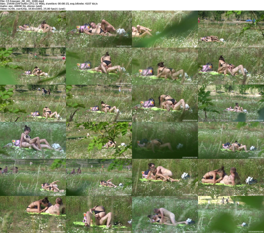 29102024081800screenshot