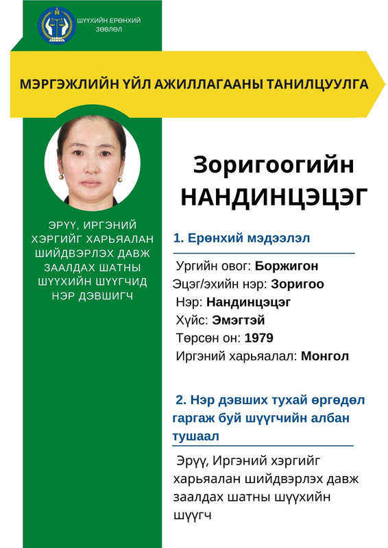 Эрүү, Иргэний хэргийг харьяалан шийдвэрлэх давж заалдах шатны шүүхийн шүүгчид нэр дэвшигч З.Нандинцэцэгийн мэргэжлийн үйл ажиллагааны танилцуулга