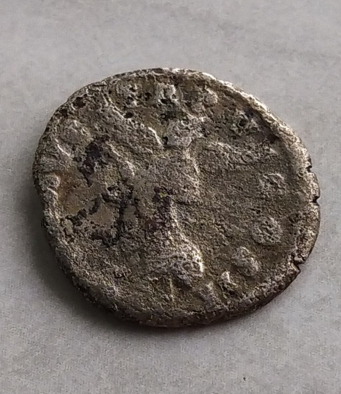 IMG_20220821_113909_1