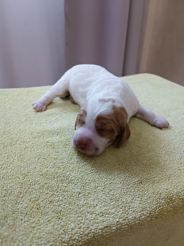 изображение_viber_2025-04-17_14-23-32-388