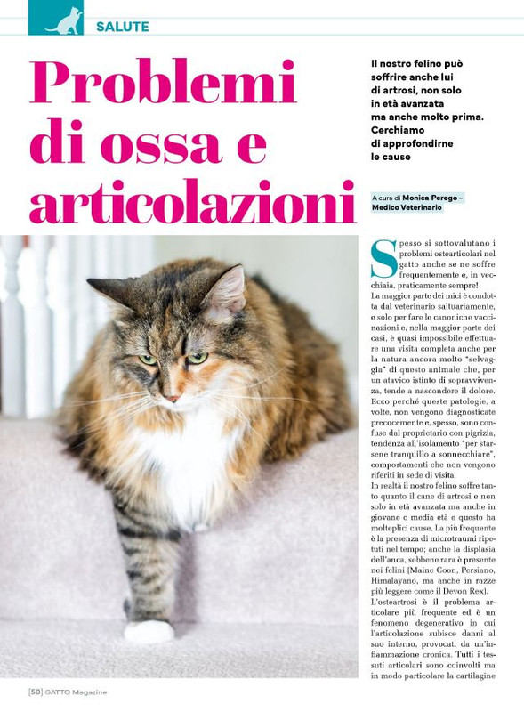 Ga Ma Ott-Nov 2024 (5)