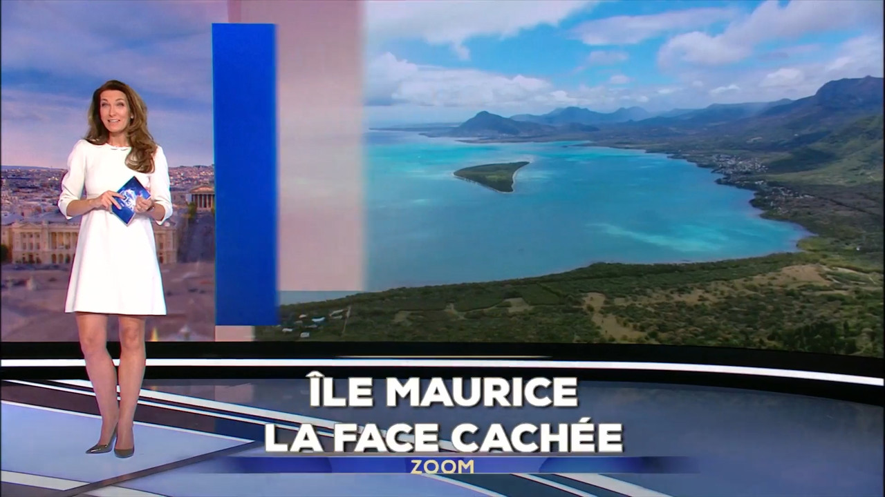 2022-02-13_13_00_TF1_Le-13h.mp4_snapshot_04.54.533