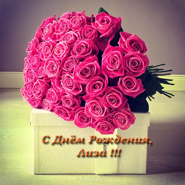 https://i.postimg.cc/FHF35D7N/otkrytka-s-dnem-rozhdeniya-liza.jpg