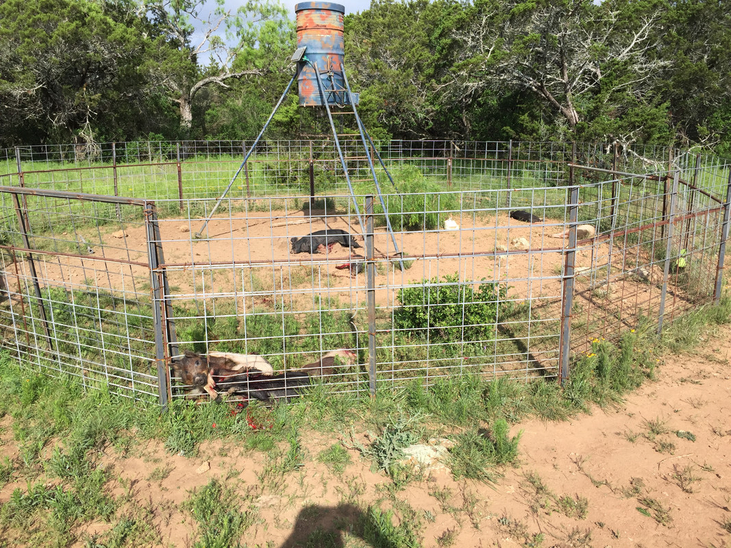 C246A229-99F0-4152-97A8-E95B4A0103BA