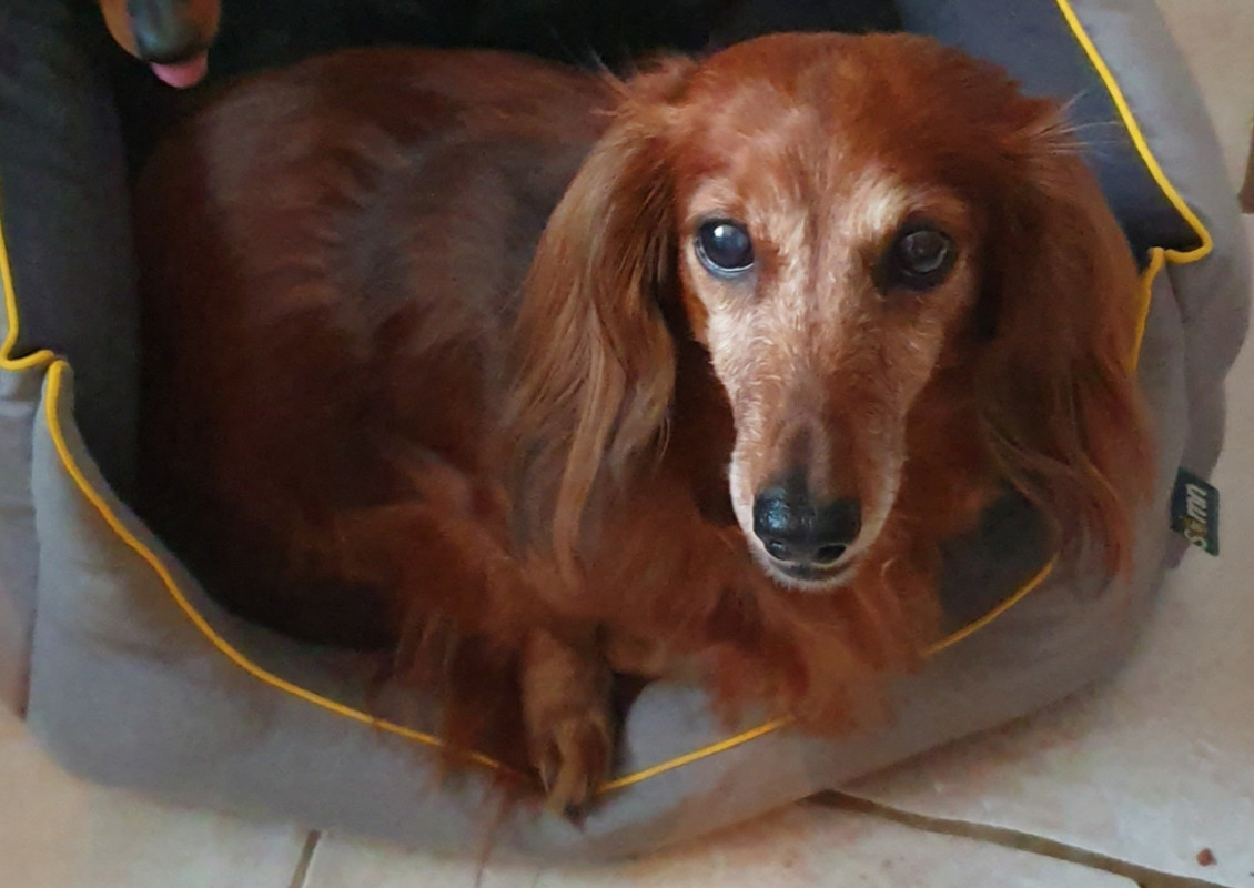 [Image: 20220515-202108.jpg]