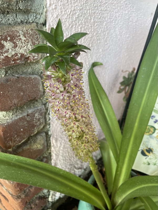 C01F571C-397B-47F7-BB40-2351AF9CD2B5_1_105_c