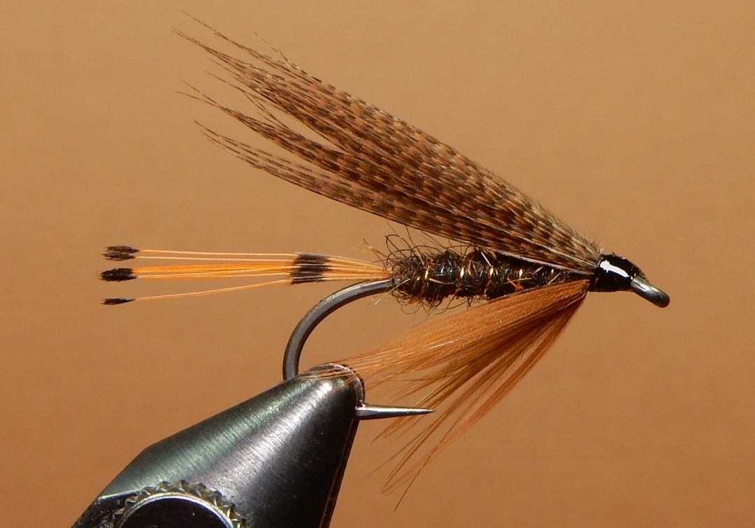 Fiery-Brown-1080.jpg