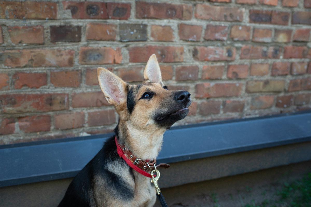 A47B1449-9BD3-4BD5-8CA3-8F94CF4BBF0D