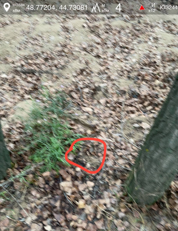 photo 2025 11 23 09 51 59